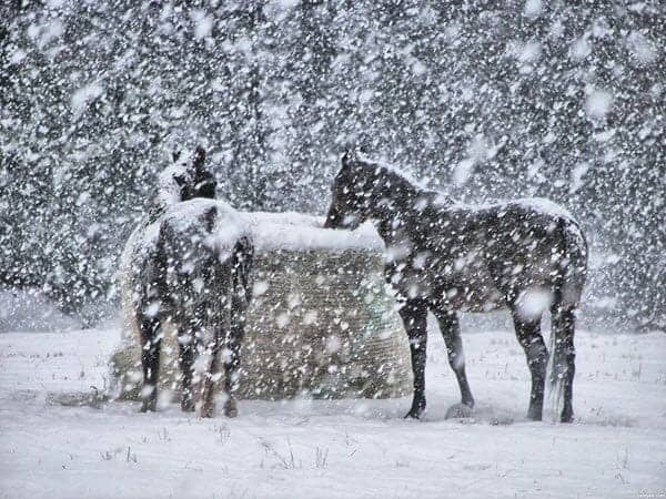 mappe-neve-sino-al-5-gennaio.-conferma-di-nevicata-in-mezza-italia
