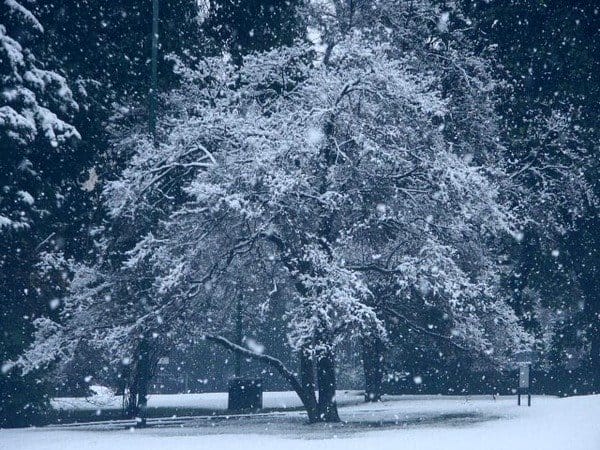 inverno-a-sprazzi.-tanta-pioggia,-anche-neve,-ma-febbraio-rincorre-il-freddo